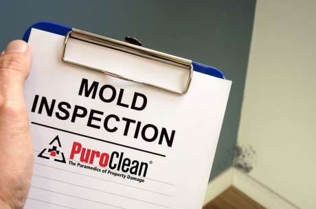 mold-inspection-puroclean