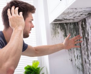 The Dos and Don'ts of Black Mold