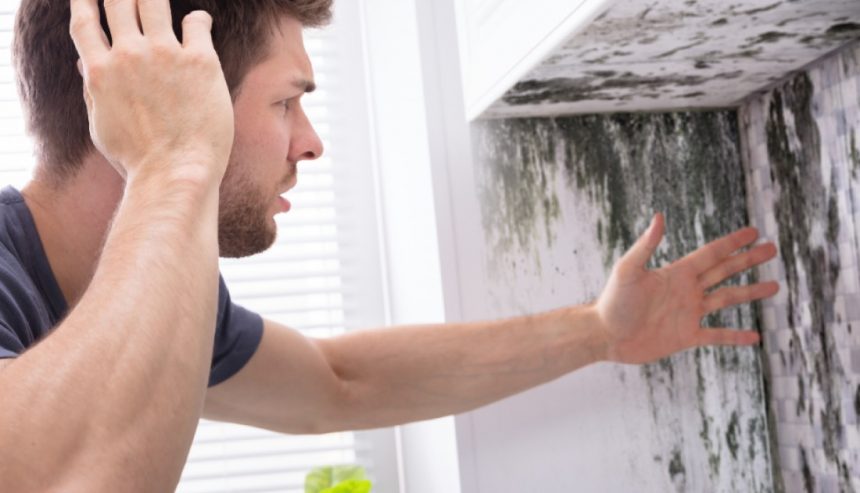 The Dos and Don'ts of Black Mold