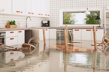 Essential Steps to Take After a Flood, Sewage Backup, or Water Leak