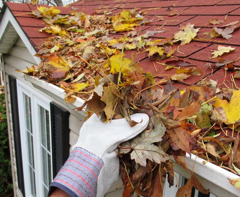 Gutter Maintenance for Optimal Water Flow