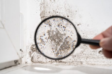 is it safe to clean black mold yourself