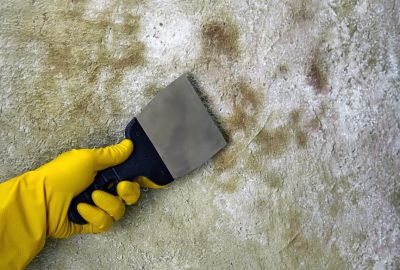 mold removal in Illinois