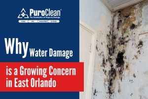 Water Damage