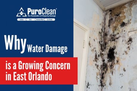 Water Damage