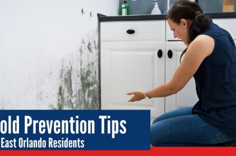 Mold prevention tips