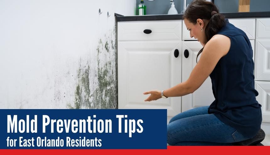 Mold prevention tips