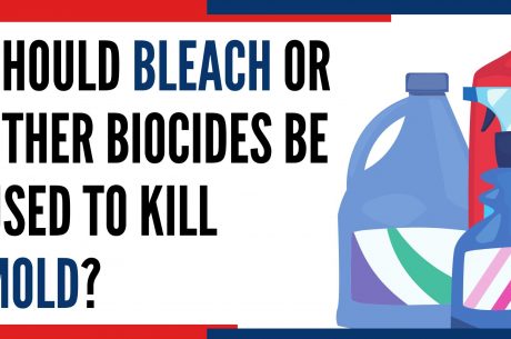 Bleach and mold