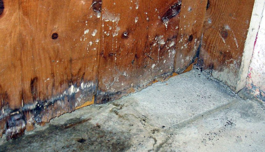 Water damaged floorboard and wall.