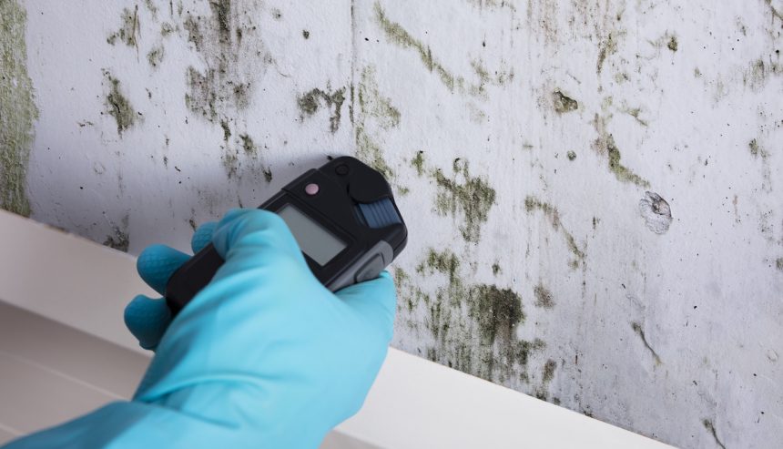 Mold Growth