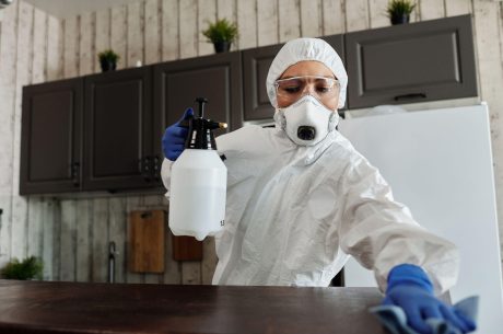 local mold remediation companies