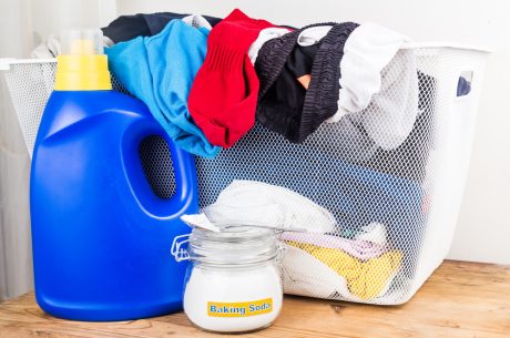 clothing laundry mold removal companies florida