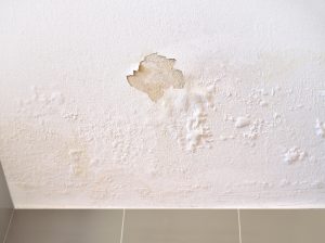 water damaged wall paint pembroke pines