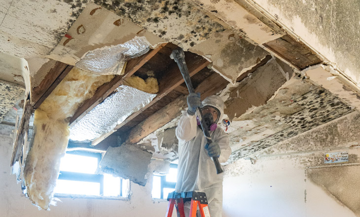 The Importance of Professional Mold Remediation Services in Restoration