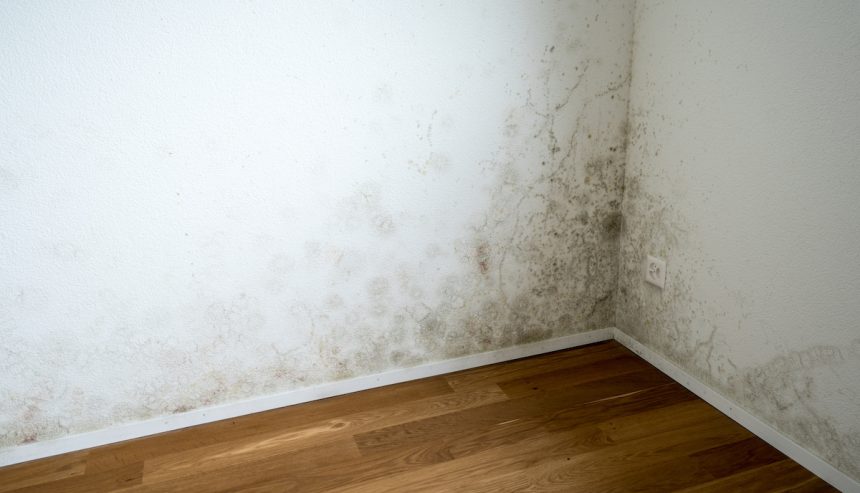 water damage restoration horsham | Mold Removal and Remediation in Harleysville, PA