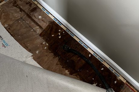 Water Damage in Your Home 