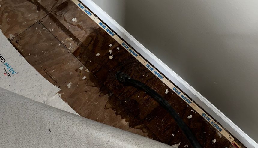 Water Damage in Your Home 