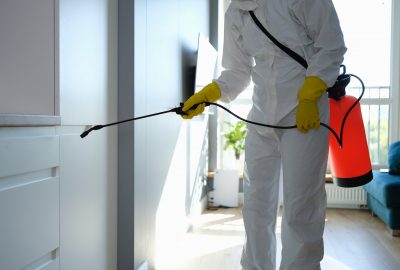 mold remediation