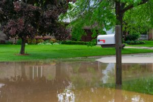 effects of a flood and water damage