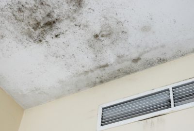 How Seasonal Allergies and Mold Are Connected