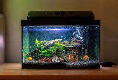 how to fix aquarium leak