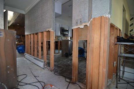 Water Damage and Mold removal