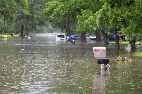 types of floods