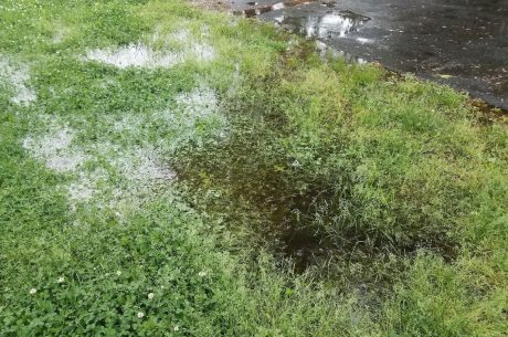 soggy lawns can mean poor water drainage