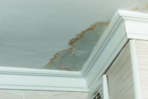 Hidden Water Leaks Mold Damage