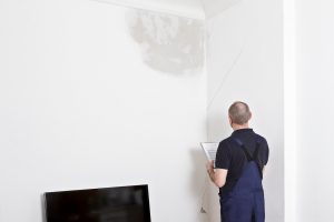 plaster wall water damage