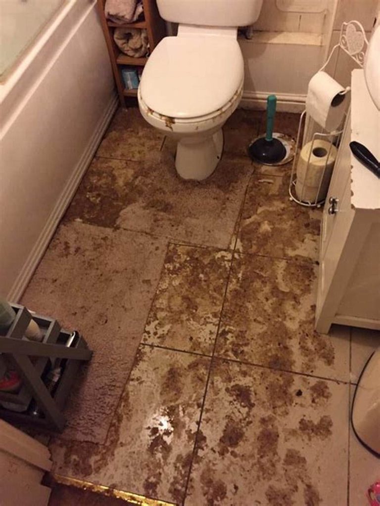 How to Deal with Sewage Overflow in Bathroom