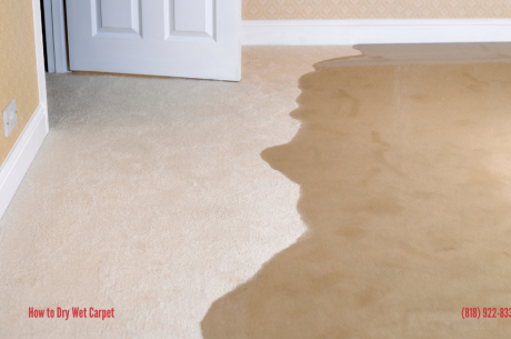 How to Dry Wet Carpet