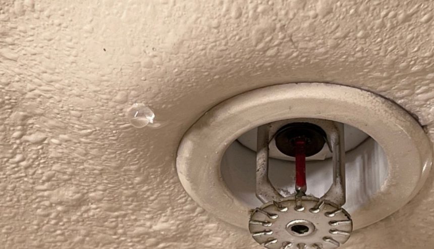 Emergency Water Damage vs. Gradual