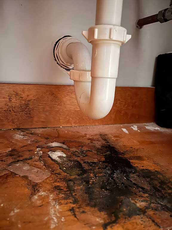 mold under bathroom sink