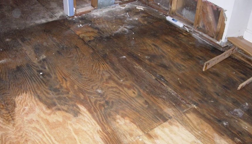 Wood flooring