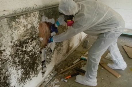 mold remover