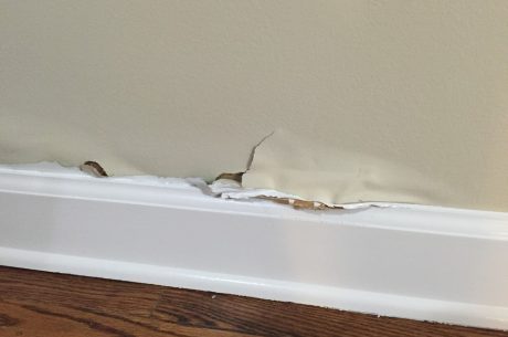 Water-Damaged Drywall