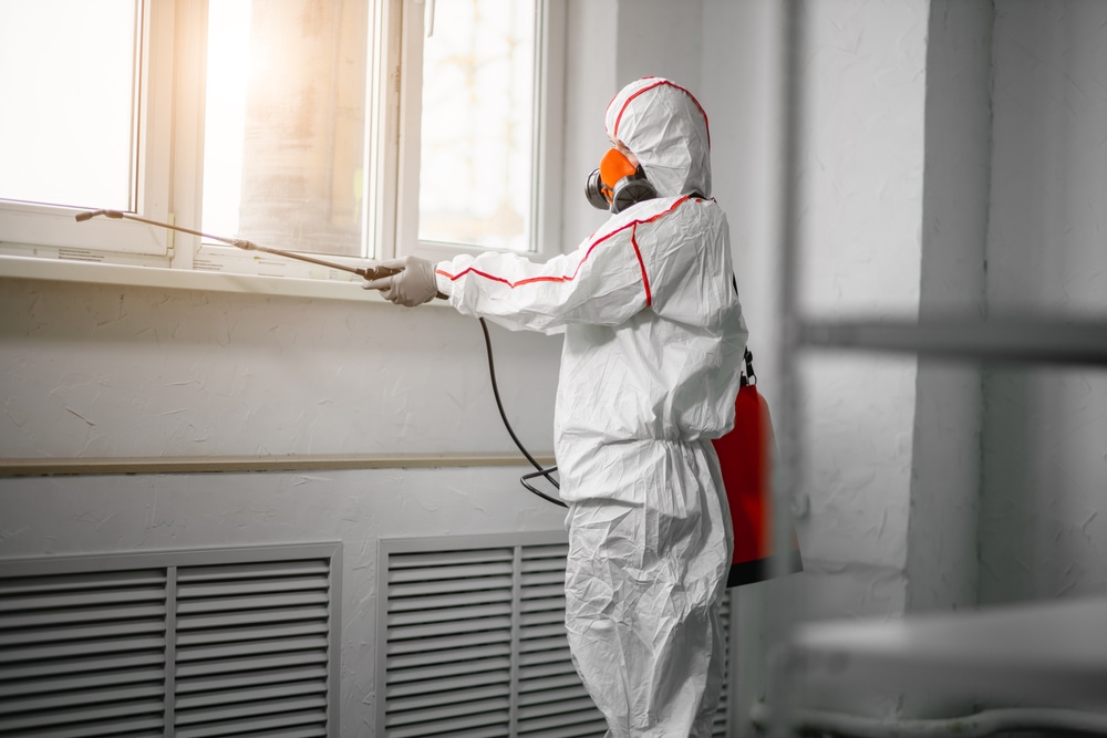 Discover how Puroclean Restoration Specialists can help you combat mold ...