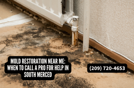 Mold restoration near me