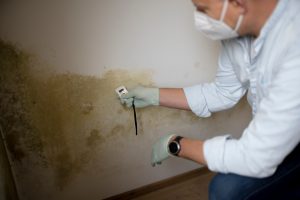 mold in commercial buildings