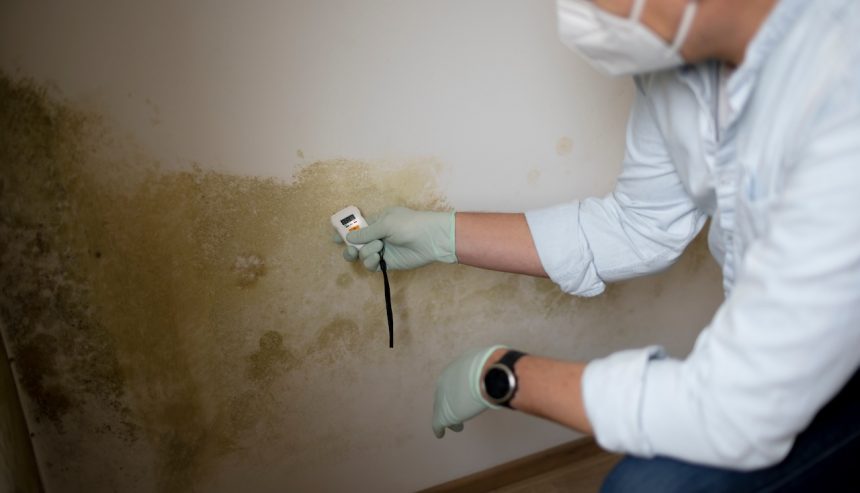 mold in commercial buildings