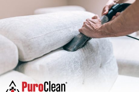 Upholstery Cleaning