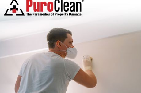 Mold Removal Service