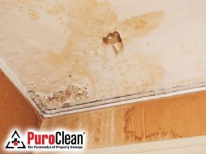 Water Damage Repair