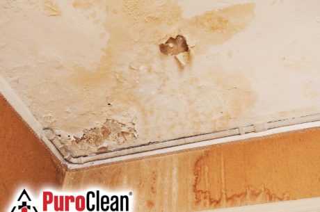 Water Damage Repair