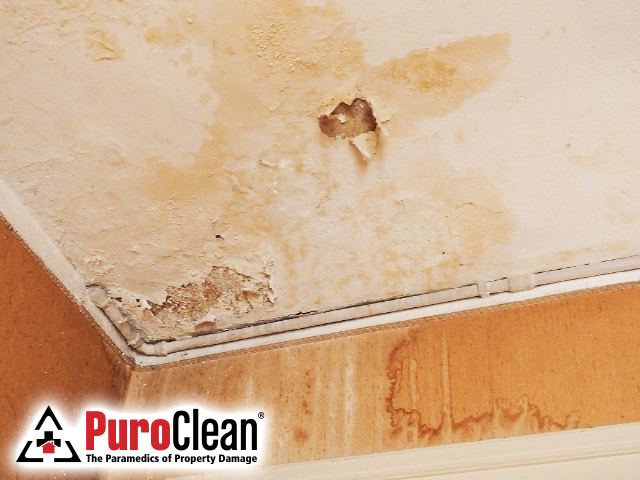 Water Damage Repair