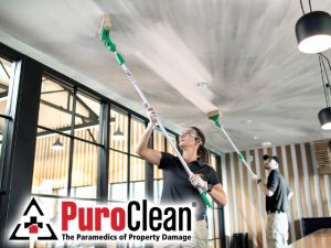 Commercial Property Cleanup