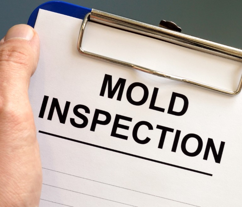 Regular Mold Inspections and Assessments