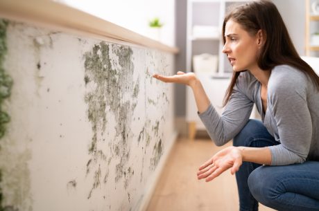 Protecting Against Mold In Your Home