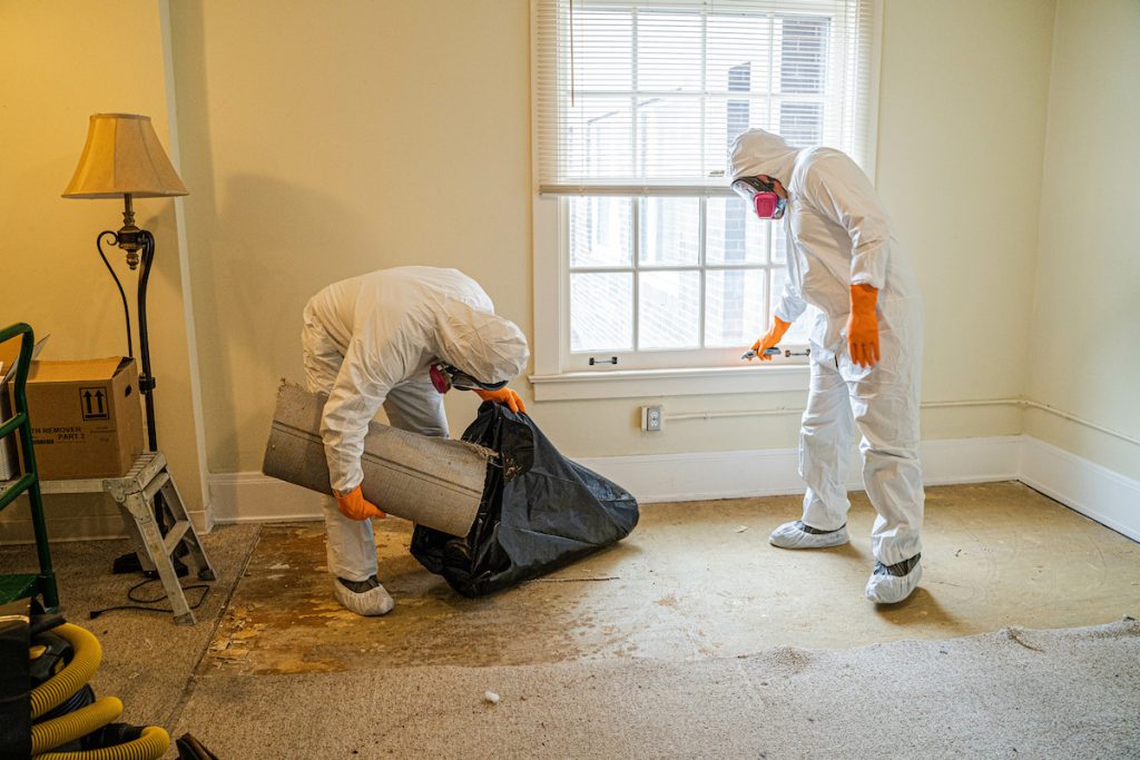 Mold Restoration
